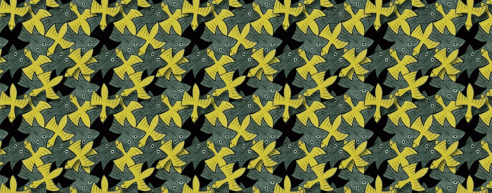 Birds_forever_searching