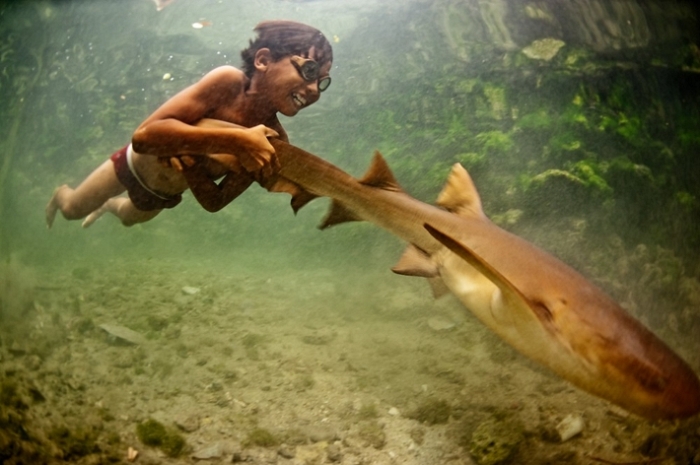 'Enal and his pet shark' by James Morgan